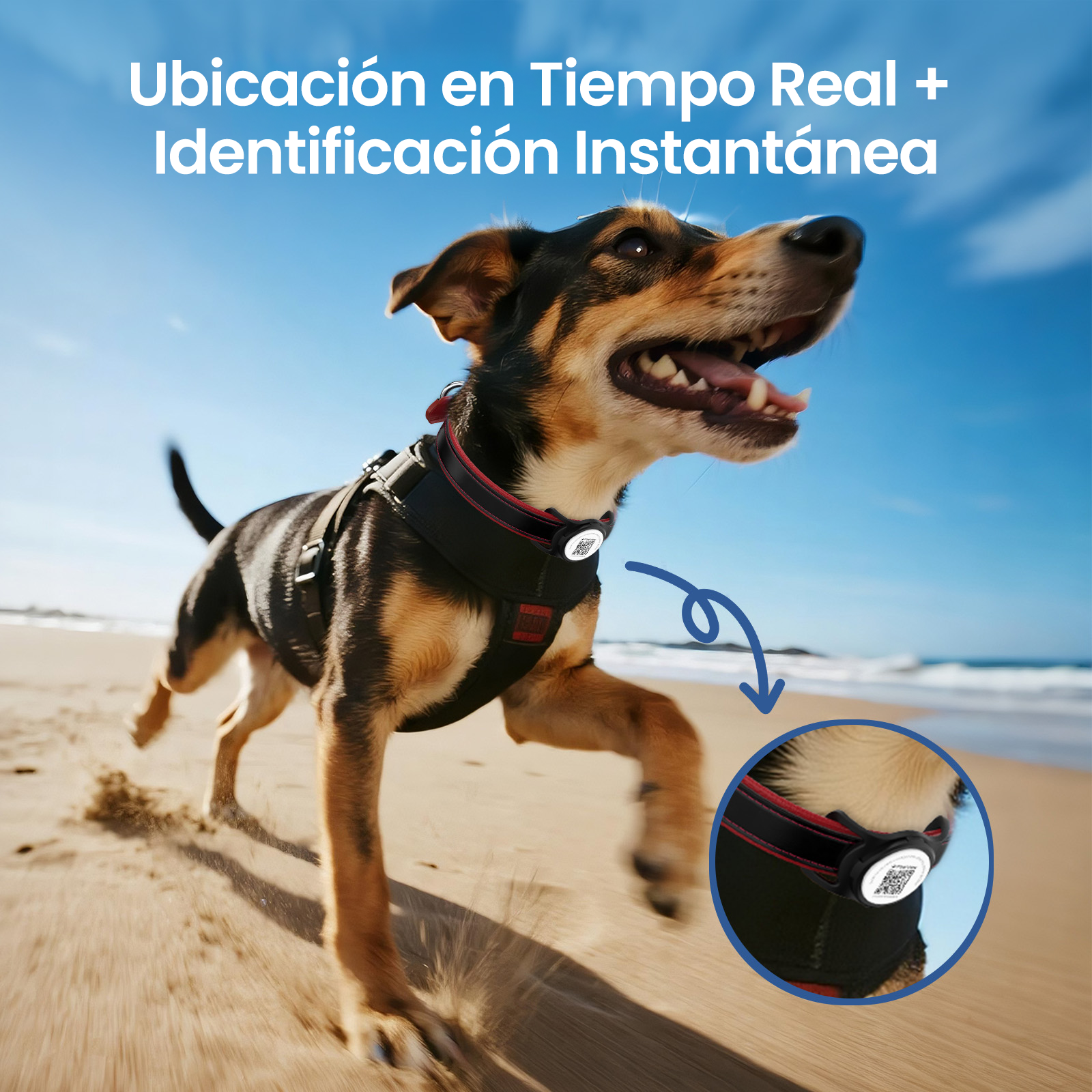 Funda Inteligente QR para iTag + iTag Incluido