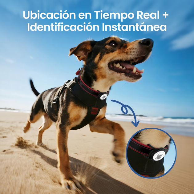 Funda Inteligente QR para iTag + iTag Incluido